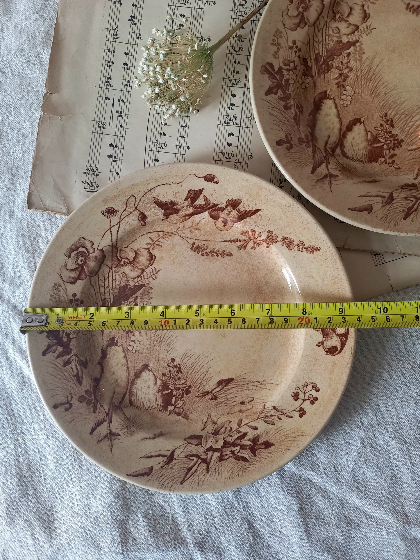 Two ceramic antique plates with floral and bird patterns on a surface with sheet music underneath.