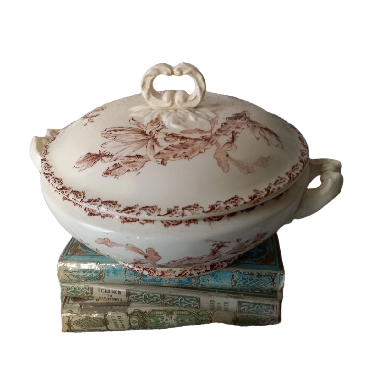 Small antique ironstone tureen with sepia pattern from France