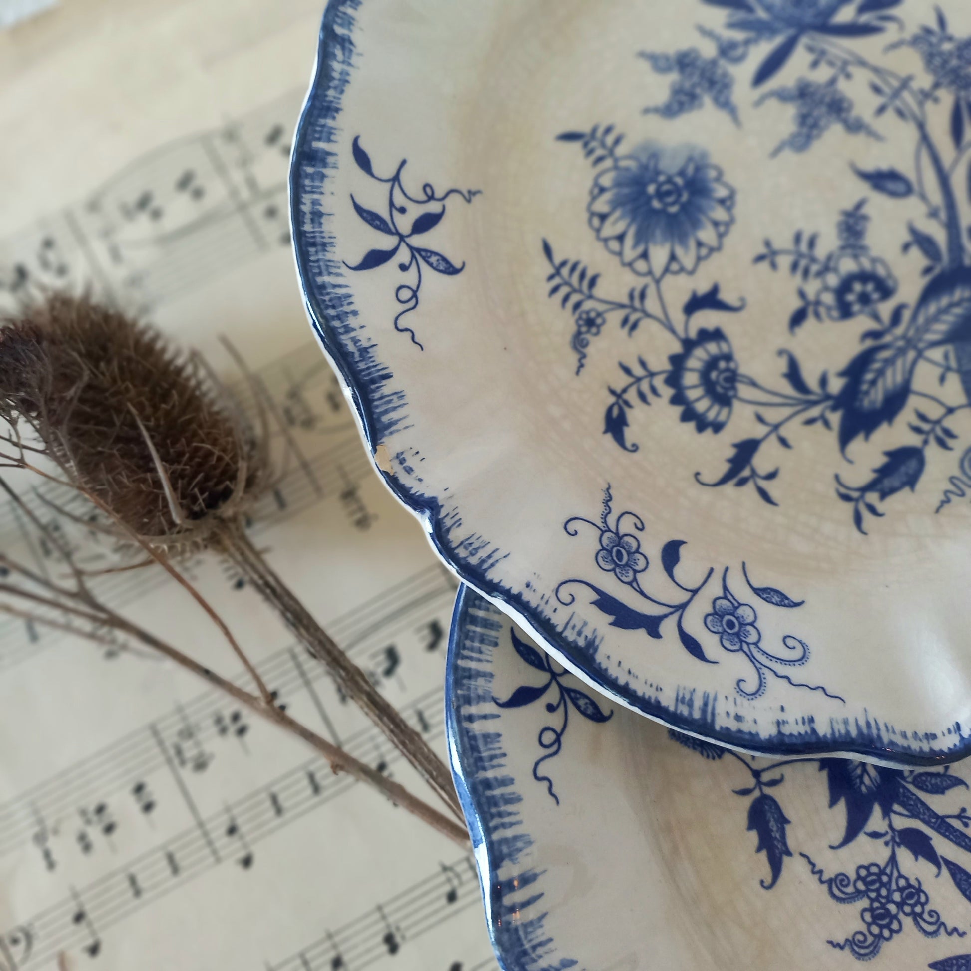 Blue floral patterned plate on a sheet of music with a dried plant.