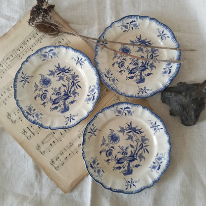 Three blue and white decorative plates on a surface with sheet music and a branch.