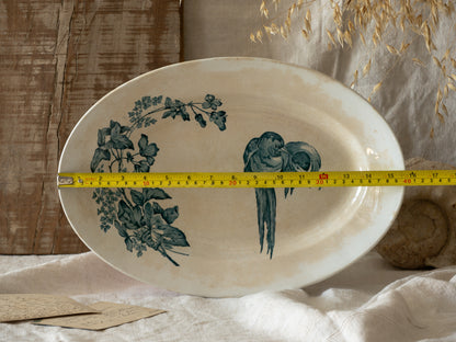 An absolutely stunning large French antique oval ironstone serving plate in a delightful time-worn creamy white with blue transferware pattern depicting two cute birds and flowers. 