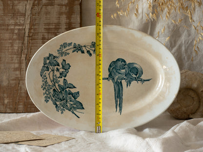 Decorative plate with bird and leaf design, measured by a ruler, on a textured surface.