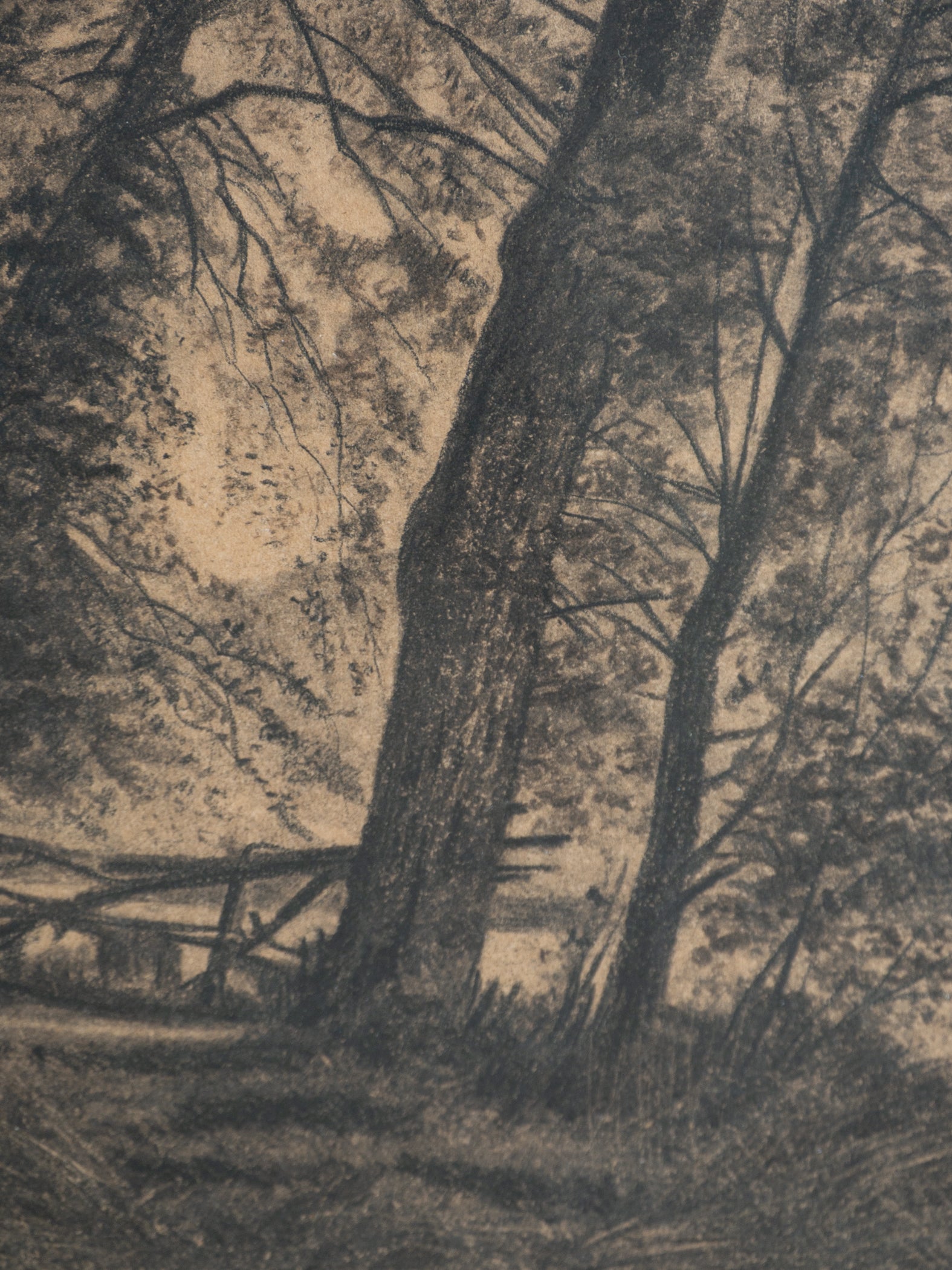 Detailed black and white drawing of a forest scene with trees and underbrush.