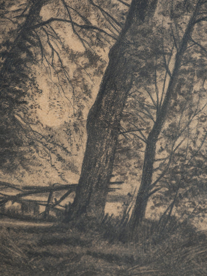 Detailed black and white drawing of a forest scene with trees and underbrush.