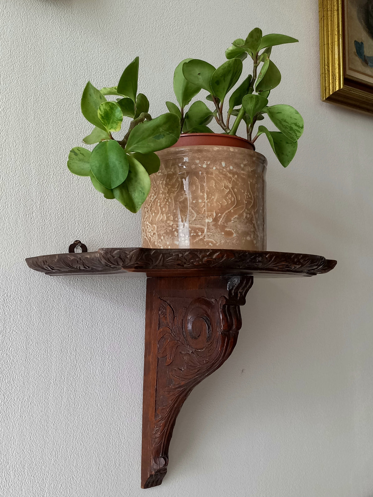 Decorative wall shelf with a plant on a white wall
