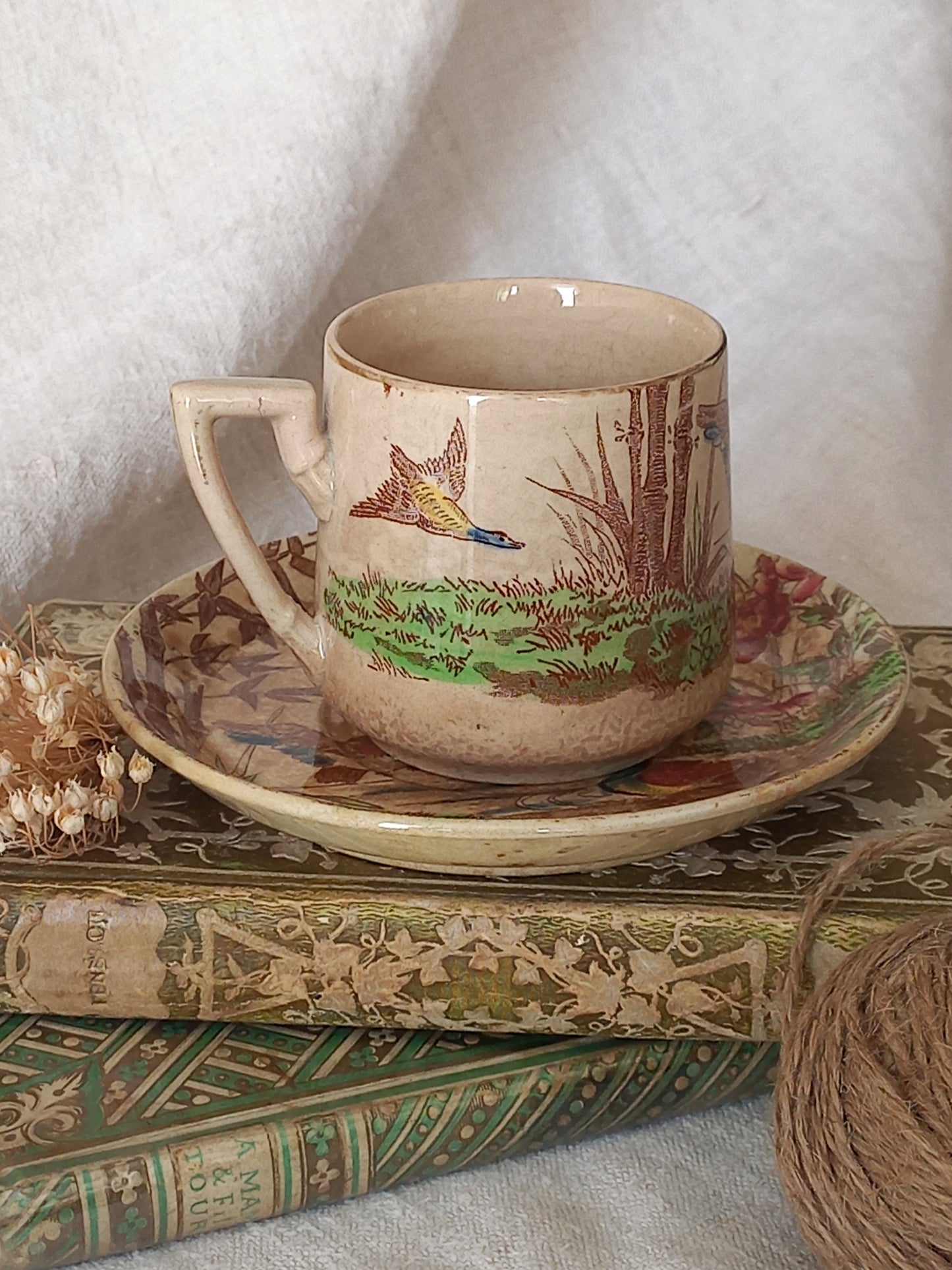 A little antique cup and saucer with oriental influenced design depicting ducks, butterflies, flowers and bamboo shoots, placed on an antique books display.

