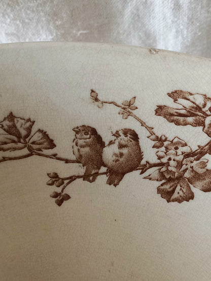 Close-up of a cream-colored antique ceramic bowl featuring a brown design of two small birds perched on a flowering branch.