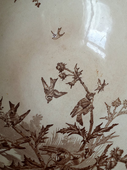 Close-up of a glossy ceramic surface with a brown sepia-style print of birds perched on branches and thistle-like flowers on an off-white background.