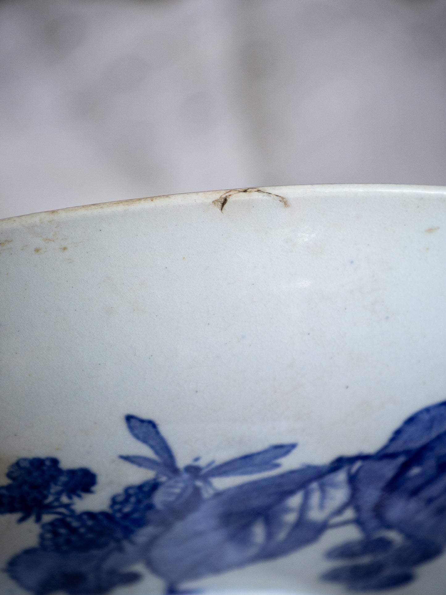 French Antique White Ironstone Compote Footed Dish with Blue Dragonfly & Floral Pattern