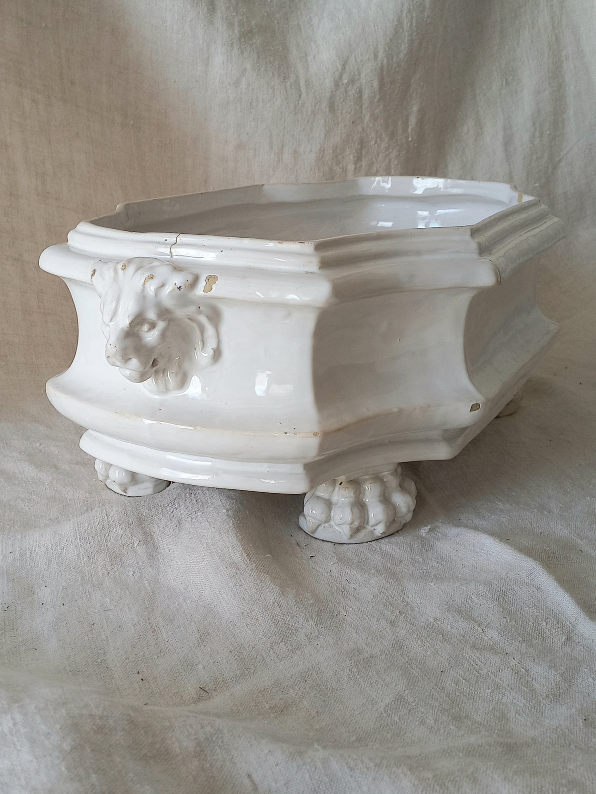 An antique white ceramic planter with a lion head relief on the front and claw-footed base, set against a draped beige fabric background.