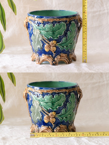 A stunning pair of French antique majolica planters, absolutely glorious fresh blue and green colours with oak leafs and acorns in relief making these stunning pieces of interior home decor wherever you decide to display them.

One of the planters has an antique repair in the form of metal staples that have been expertly done from the inside - in the 1800s and early 1900s this was quite a common repair to have made on items of high value and we feel it only adds to the authenticity/story of these pieces.