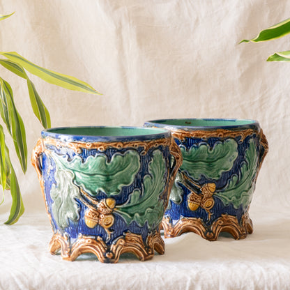 A stunning pair of French antique majolica planters, absolutely glorious fresh blue and green colours with oak leafs and acorns in relief making these stunning pieces of interior home decor wherever you decide to display them.

One of the planters has an antique repair in the form of metal staples that have been expertly done from the inside - in the 1800s and early 1900s this was quite a common repair to have made on items of high value and we feel it only adds to the authenticity/story of these pieces.