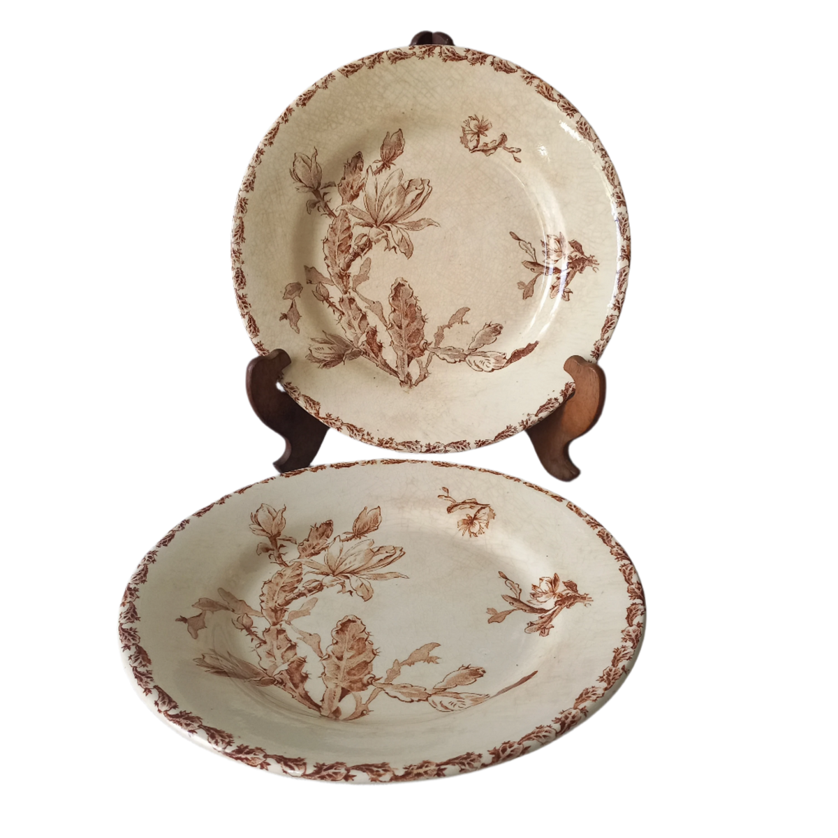 A fabulous pair of French antique ironstone creamy white plates with a sepia transferware pattern called 'Cactus' - these pieces were manufactured by famous French manufacturer Gien. They are wonderfully time-worn with lots of general crazing and horizontal crazing (see photos).