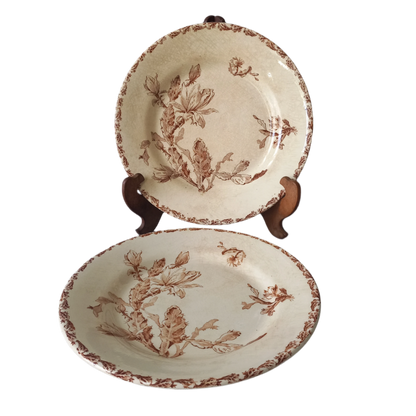 A fabulous pair of French antique ironstone creamy white plates with a sepia transferware pattern called 'Cactus' - these pieces were manufactured by famous French manufacturer Gien. They are wonderfully time-worn with lots of general crazing and horizontal crazing (see photos).