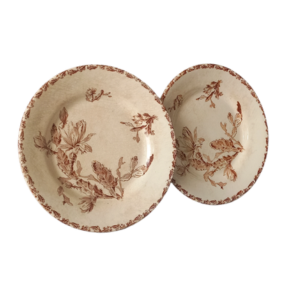 A fabulous pair of French antique ironstone creamy white plates with a sepia transferware pattern called 'Cactus' - these pieces were manufactured by famous French manufacturer Gien. They are wonderfully time-worn with lots of general crazing and horizontal crazing (see photos).