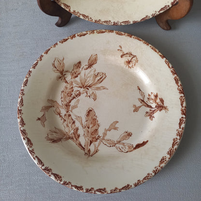 A fabulous pair of French antique ironstone creamy white plates with a sepia transferware pattern called 'Cactus' - these pieces were manufactured by famous French manufacturer Gien. They are wonderfully time-worn with lots of general crazing and horizontal crazing (see photos).