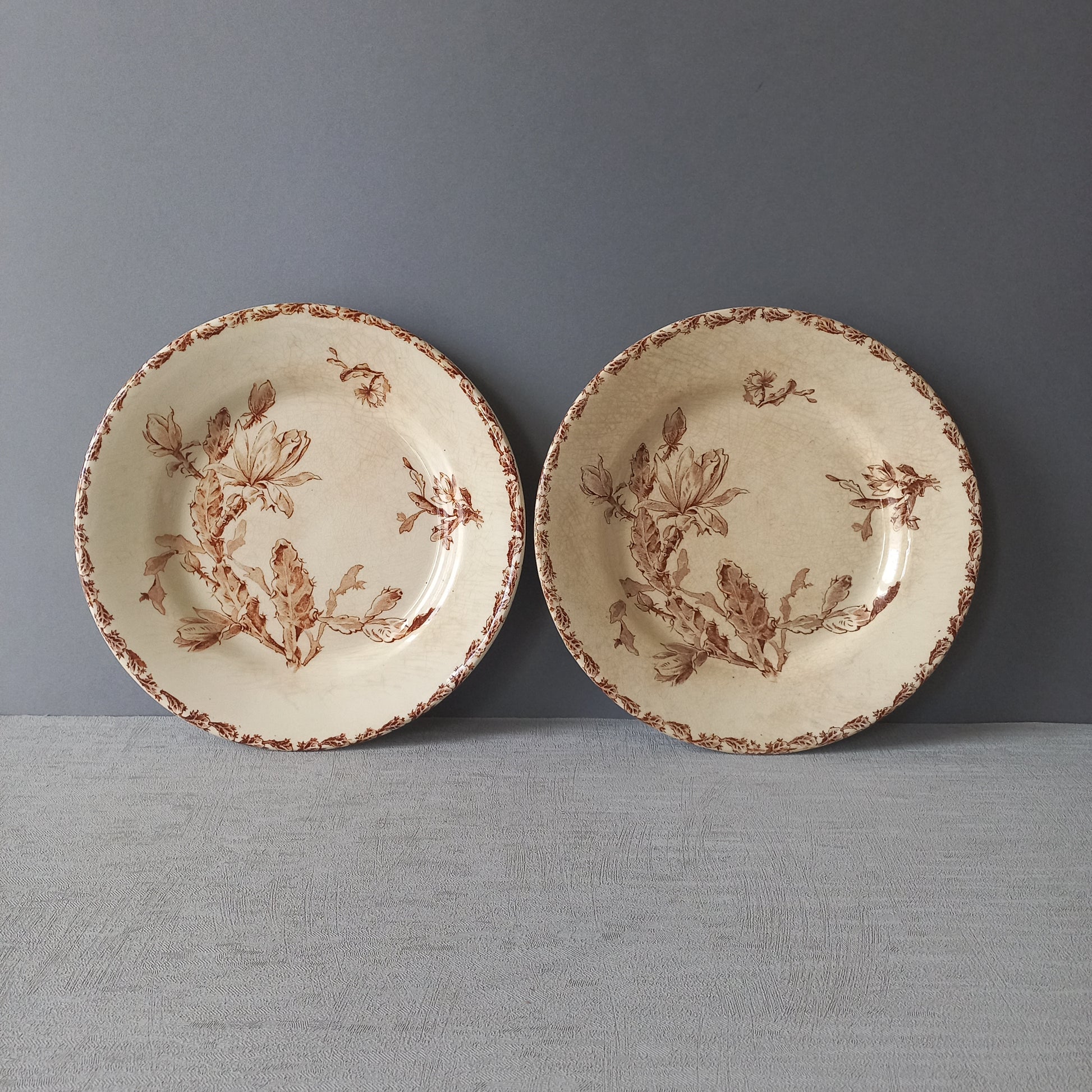 A fabulous pair of French antique ironstone creamy white plates with a sepia transferware pattern called 'Cactus' - these pieces were manufactured by famous French manufacturer Gien. They are wonderfully time-worn with lots of general crazing and horizontal crazing (see photos).
