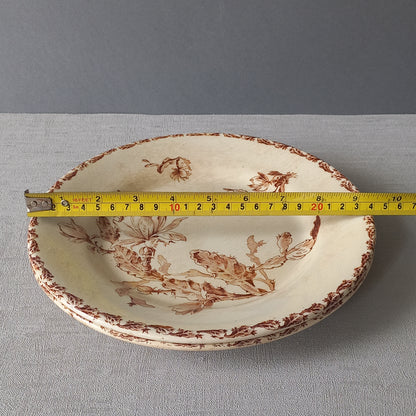 A fabulous pair of French antique ironstone creamy white plates with a sepia transferware pattern called 'Cactus' - these pieces were manufactured by famous French manufacturer Gien. They are wonderfully time-worn with lots of general crazing and horizontal crazing (see photos).