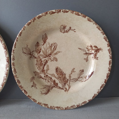 A fabulous pair of French antique ironstone creamy white plates with a sepia transferware pattern called 'Cactus' - these pieces were manufactured by famous French manufacturer Gien. They are wonderfully time-worn with lots of general crazing and horizontal crazing (see photos).