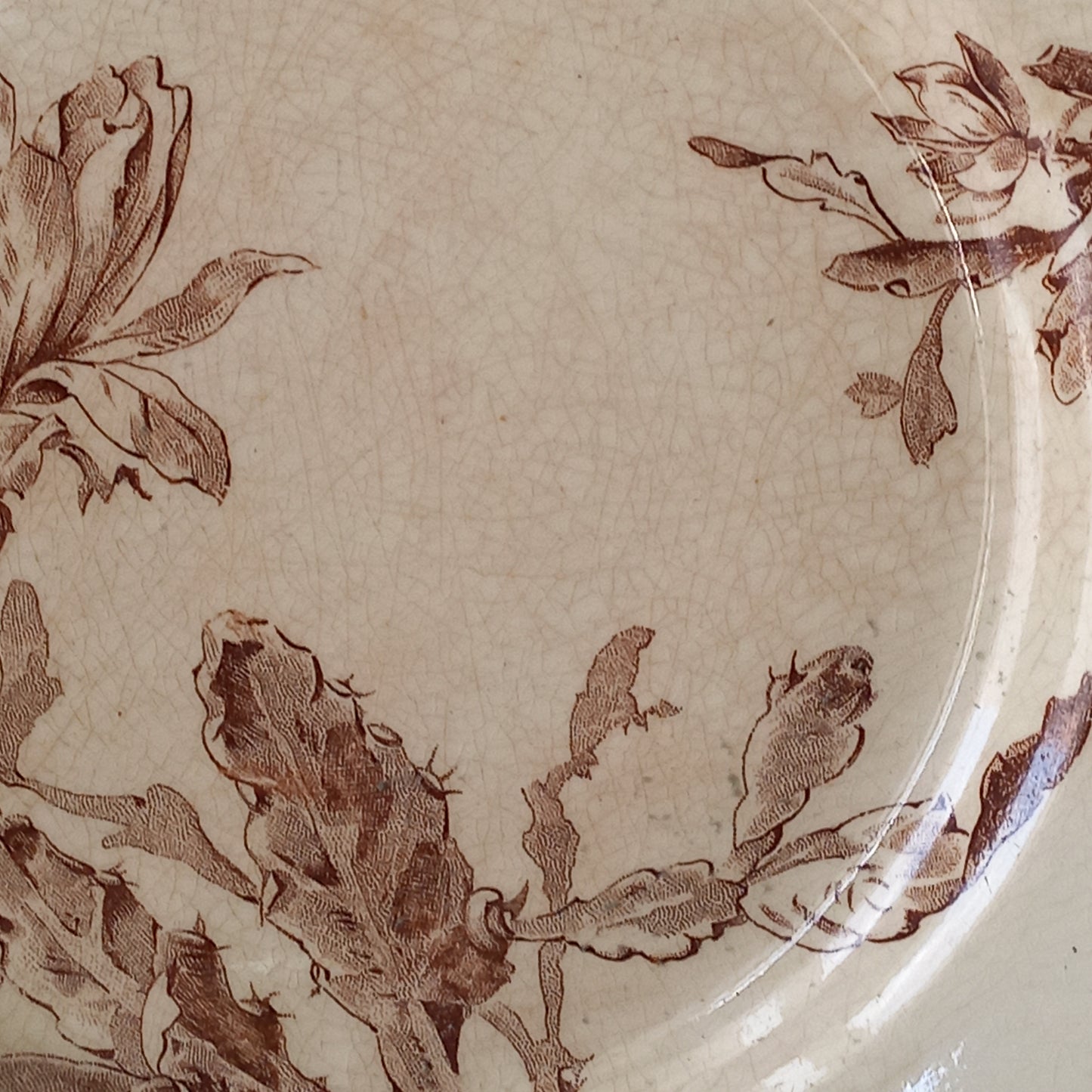A fabulous pair of French antique ironstone creamy white plates with a sepia transferware pattern called 'Cactus' - these pieces were manufactured by famous French manufacturer Gien. They are wonderfully time-worn with lots of general crazing and horizontal crazing (see photos).