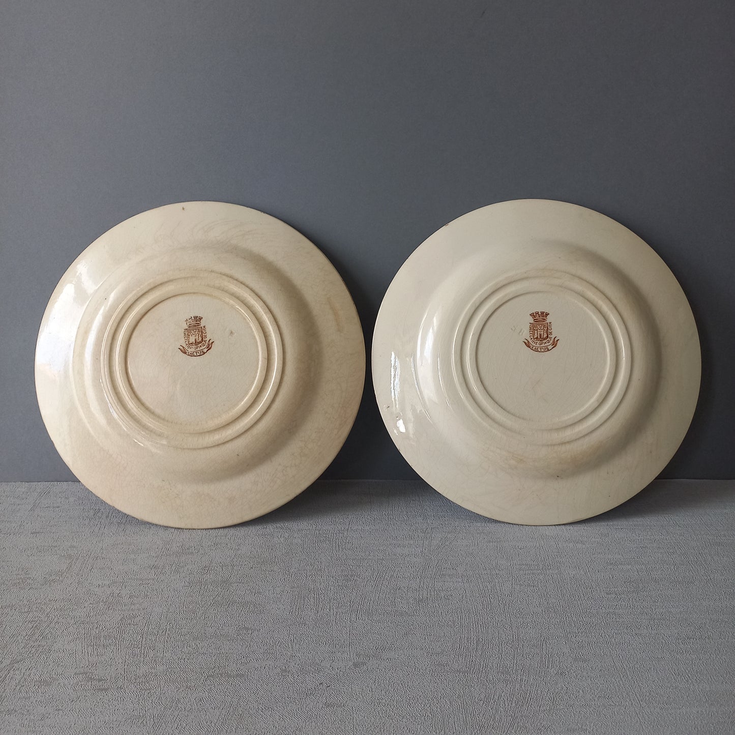 A fabulous pair of French antique ironstone creamy white plates with a sepia transferware pattern called 'Cactus' - these pieces were manufactured by famous French manufacturer Gien. They are wonderfully time-worn with lots of general crazing and horizontal crazing (see photos).