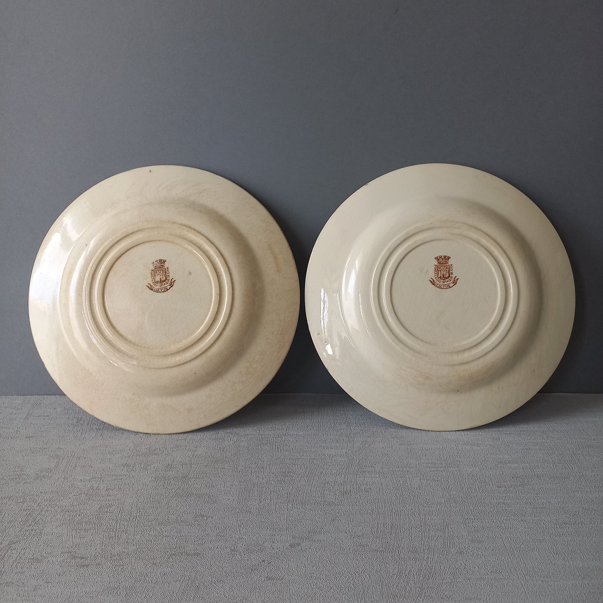 A fabulous pair of French antique ironstone creamy white plates with a sepia transferware pattern called 'Cactus' - these pieces were manufactured by famous French manufacturer Gien. They are wonderfully time-worn with lots of general crazing and horizontal crazing (see photos).