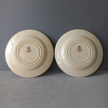 A fabulous pair of French antique ironstone creamy white plates with a sepia transferware pattern called 'Cactus' - these pieces were manufactured by famous French manufacturer Gien. They are wonderfully time-worn with lots of general crazing and horizontal crazing (see photos).