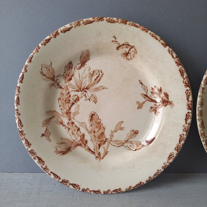 A fabulous pair of French antique ironstone creamy white plates with a sepia transferware pattern called 'Cactus' - these pieces were manufactured by famous French manufacturer Gien. They are wonderfully time-worn with lots of general crazing and horizontal crazing (see photos).