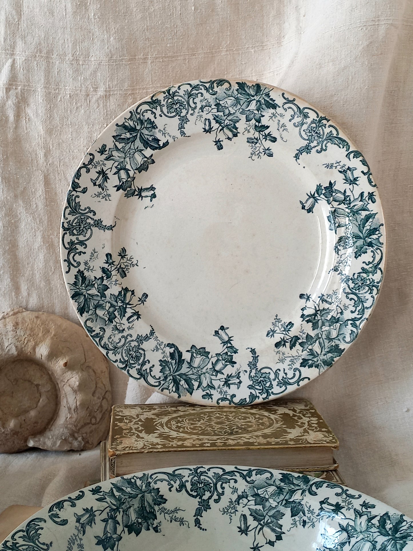 Decorative plate with teal floral pattern on a beige background