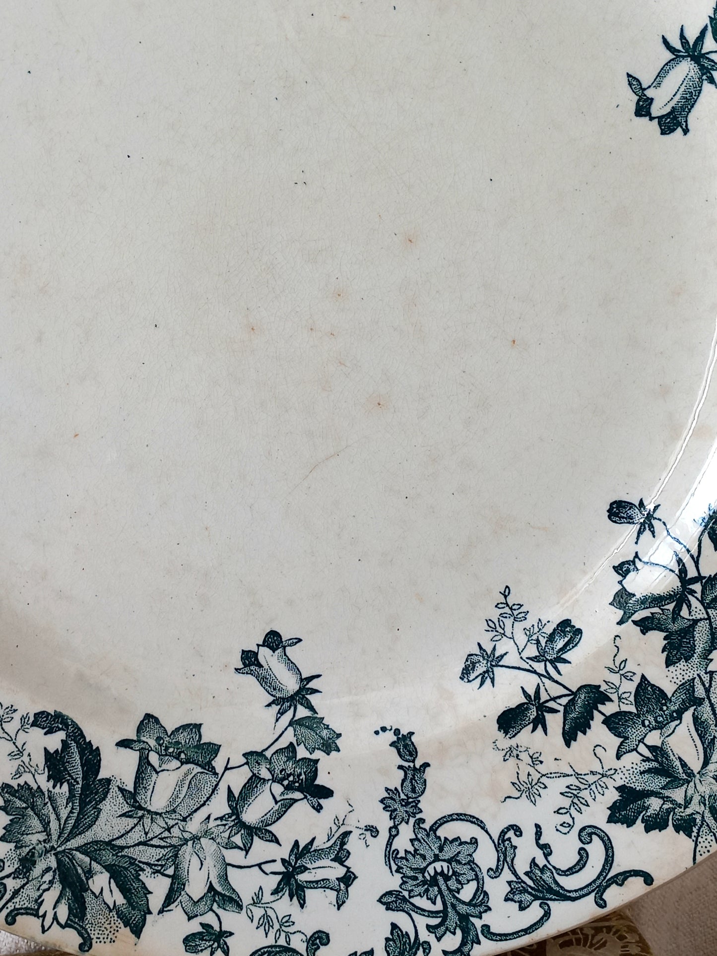 Close-up of a ceramic plate with floral patterns on a textured surface