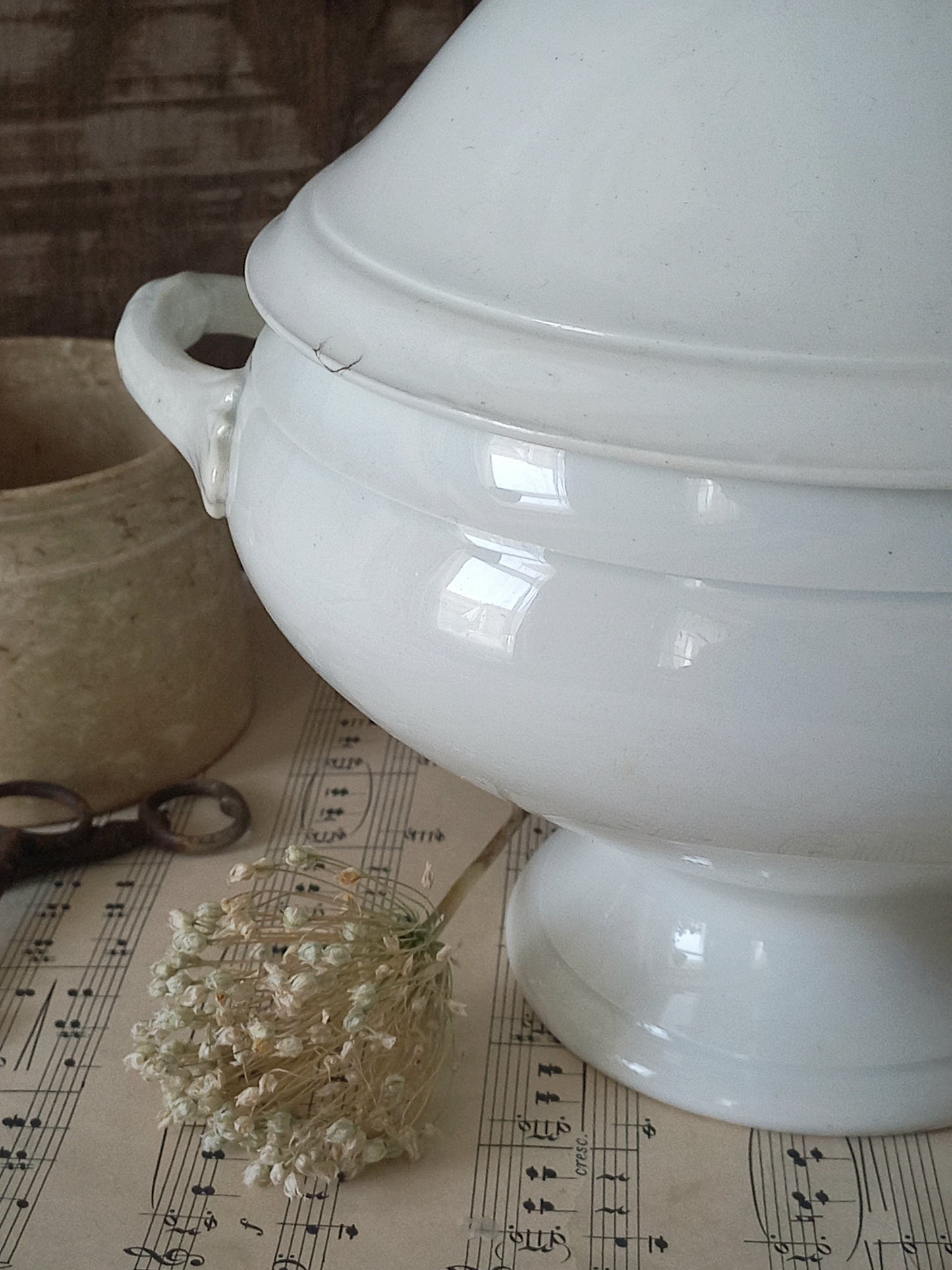 French Antique White Ironstone Soup Tureen