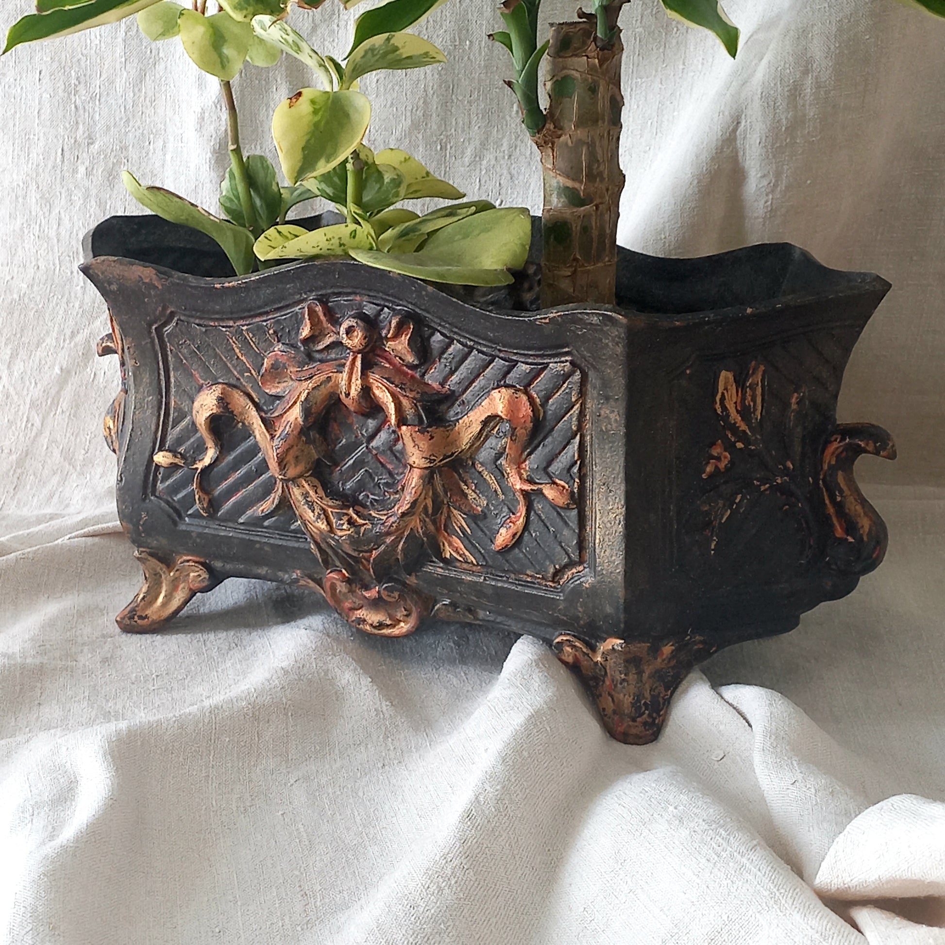A stunning French antique decorative cast iron planter with patina of age suitable for both interior and exterior use - we rarely come across them these days so this was an exciting find.

The planter is in a striking and wonderfully aged black colour with gold coloured detailing in relief - there's some great paint chipping off areas of the gold paint showing small areas of red beneath, and also chipping from the black paint showing rusty patina, all of which add to the antique character of this beautiful 