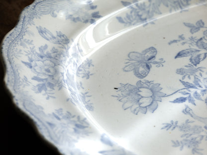 LARGE Antique White Ironstone Oval Plate with Pale Blue Asiatic Pheasants Design