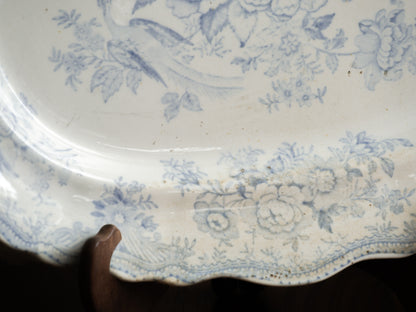 LARGE Antique White Ironstone Oval Plate with Pale Blue Asiatic Pheasants Design