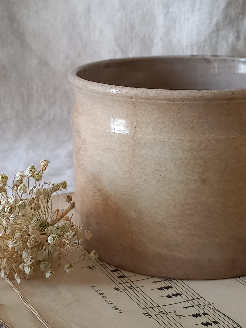 Pair of French Antique Ironstone Jam Pots Or Crock Pots