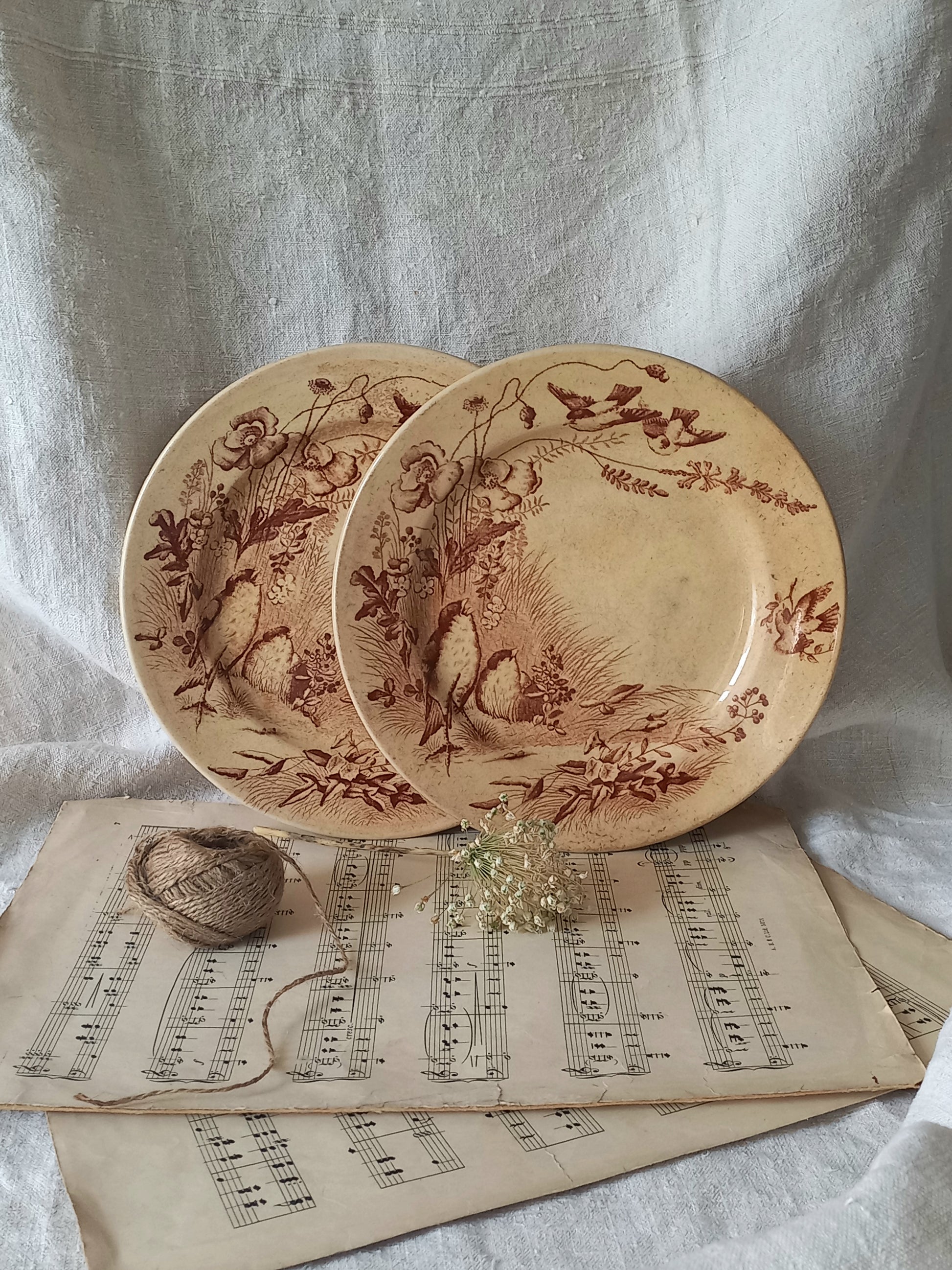 Two ceramic antique plates with floral and bird patterns on a surface with sheet music underneath.