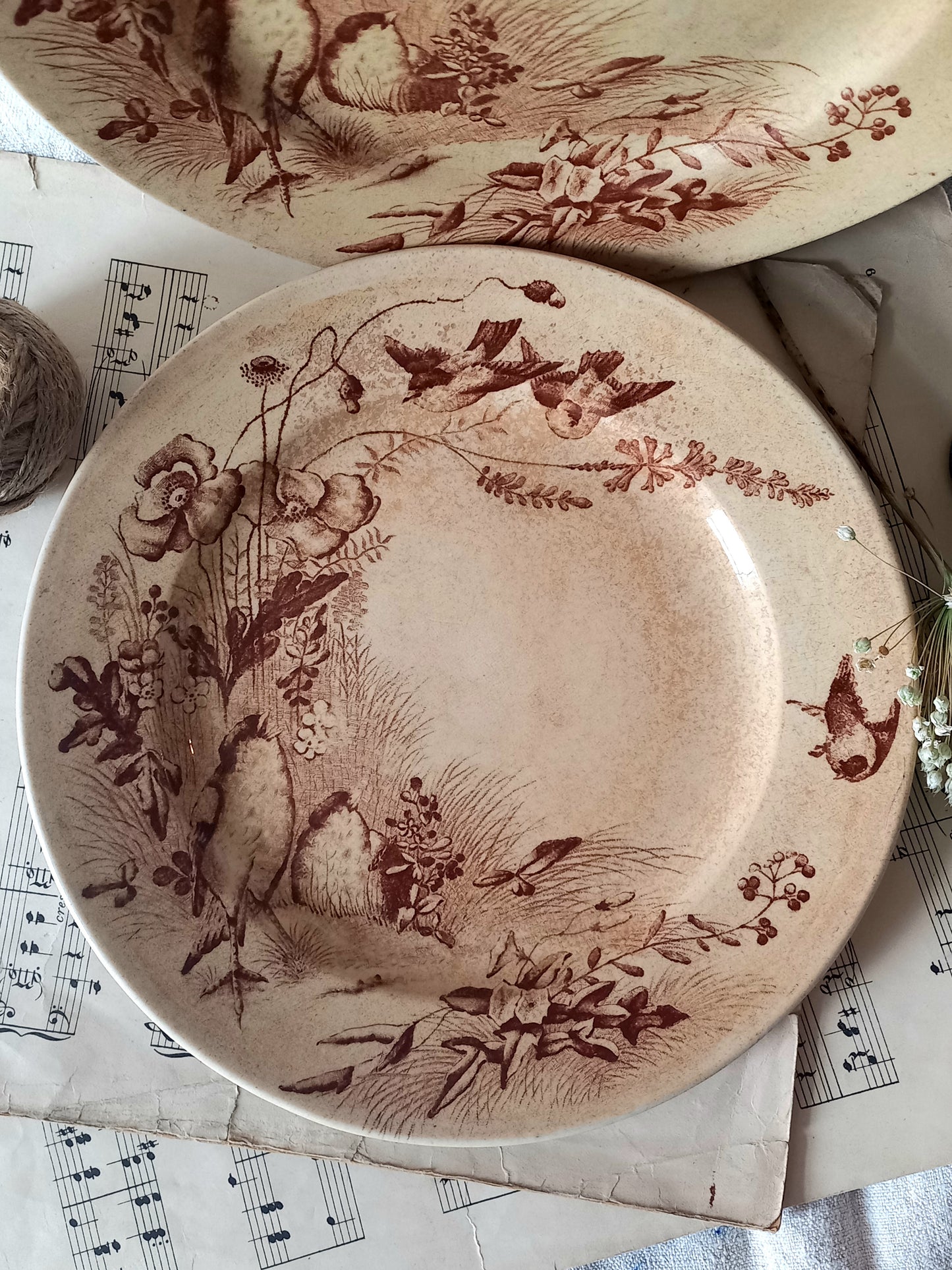 Decorative plate with nature-themed design on a surface with music sheet background