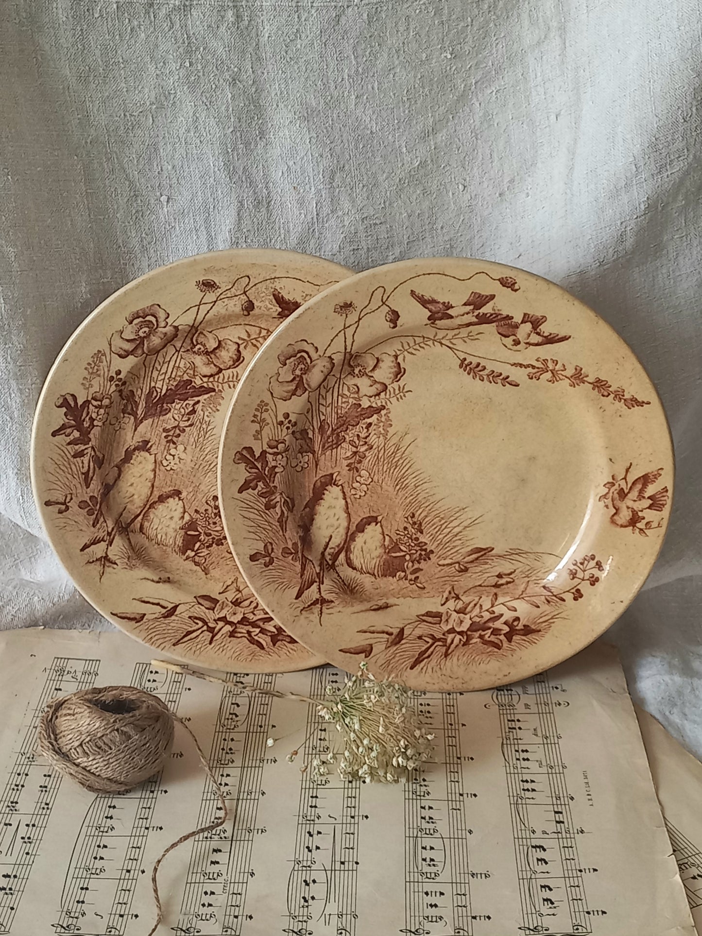 Two decorative plates with brown floral patterns on a sheet of music with a textured fabric background.