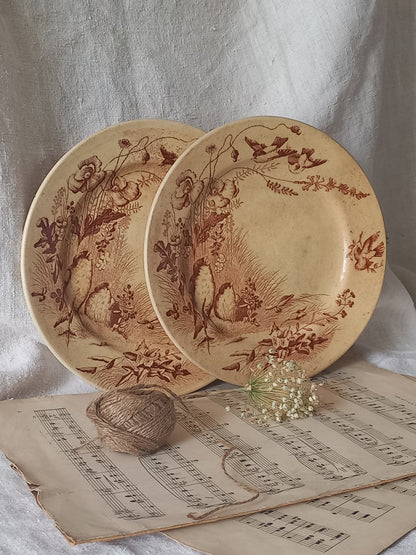 Two ceramic antique plates with floral and bird patterns on a surface with sheet music underneath.