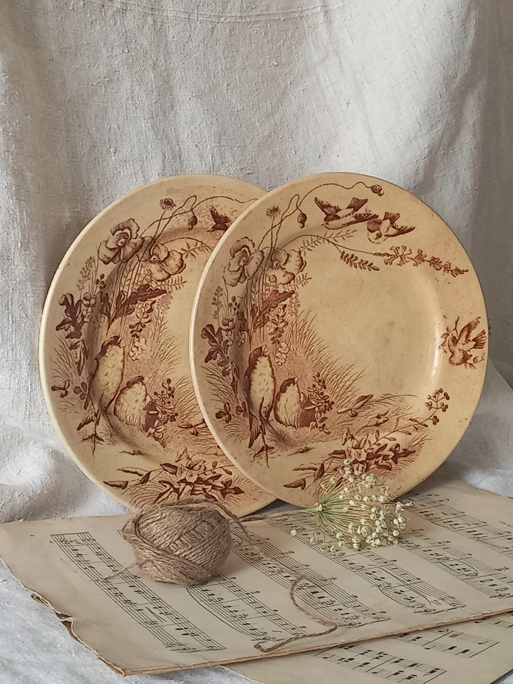 Two ceramic antique plates with floral and bird patterns on a surface with sheet music underneath.