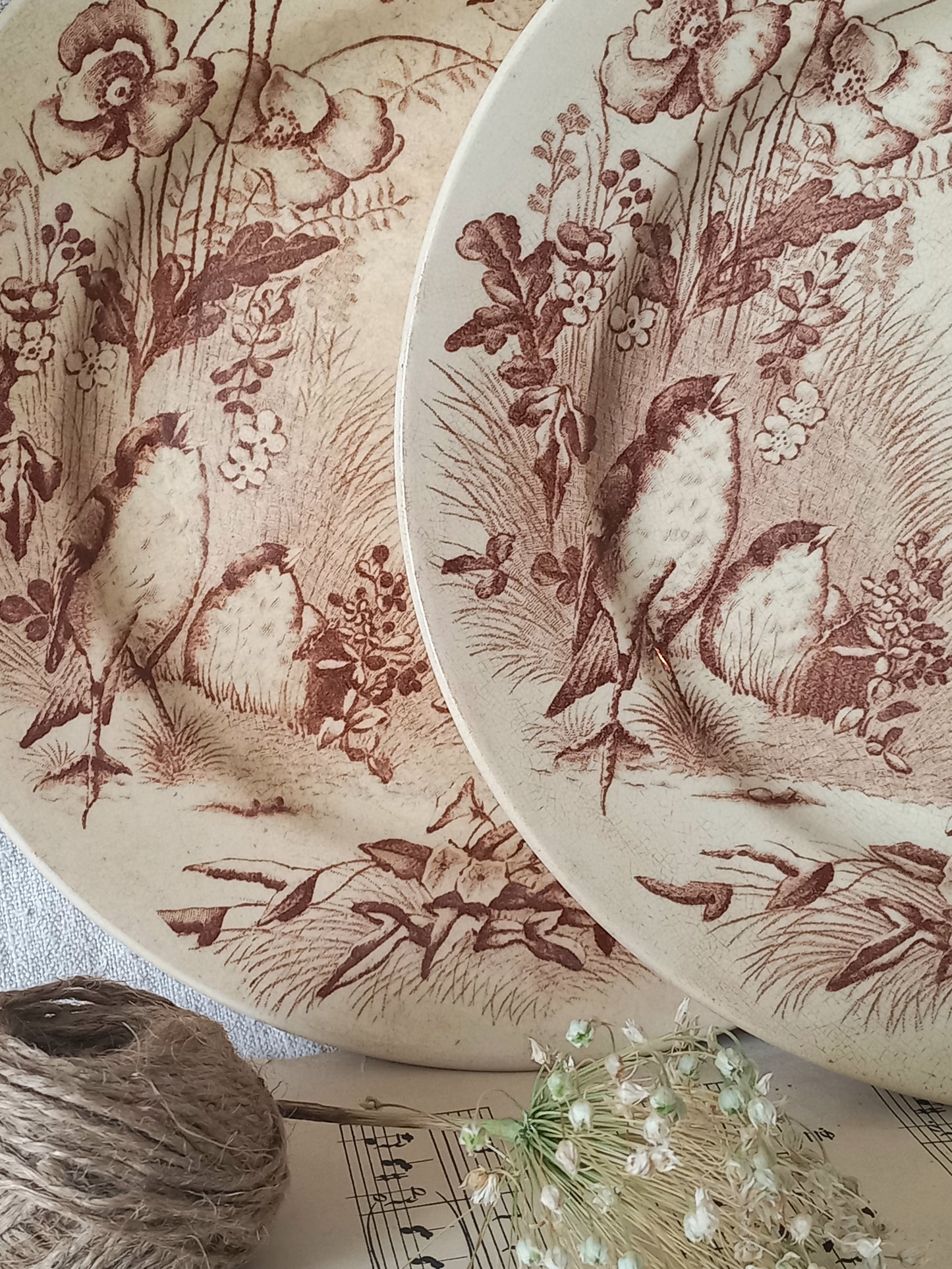 Two ceramic plates with vintage-style bird and floral pattern on a textured surface.