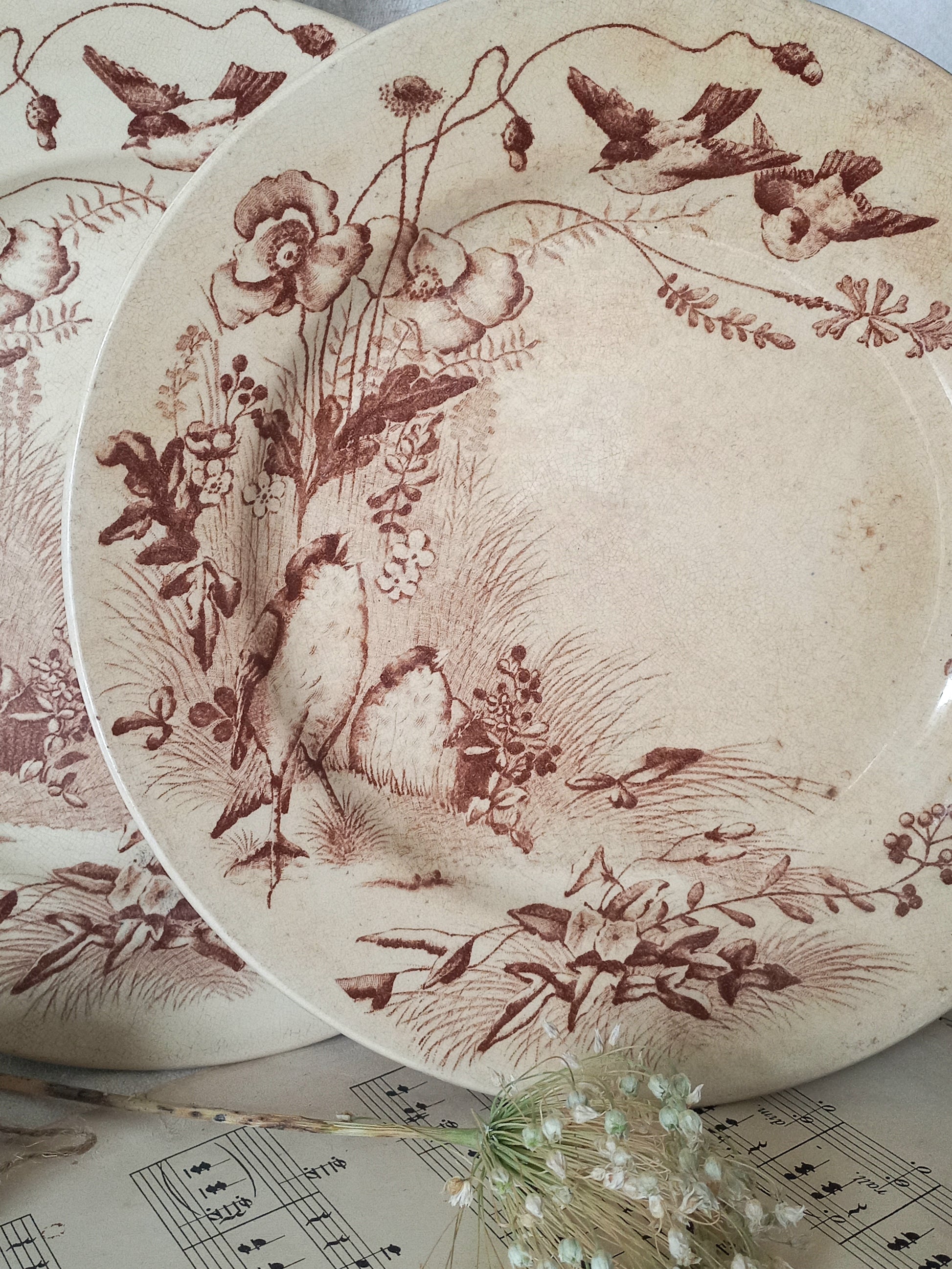 Decorative plates with floral and bird patterns on a sheet of music.