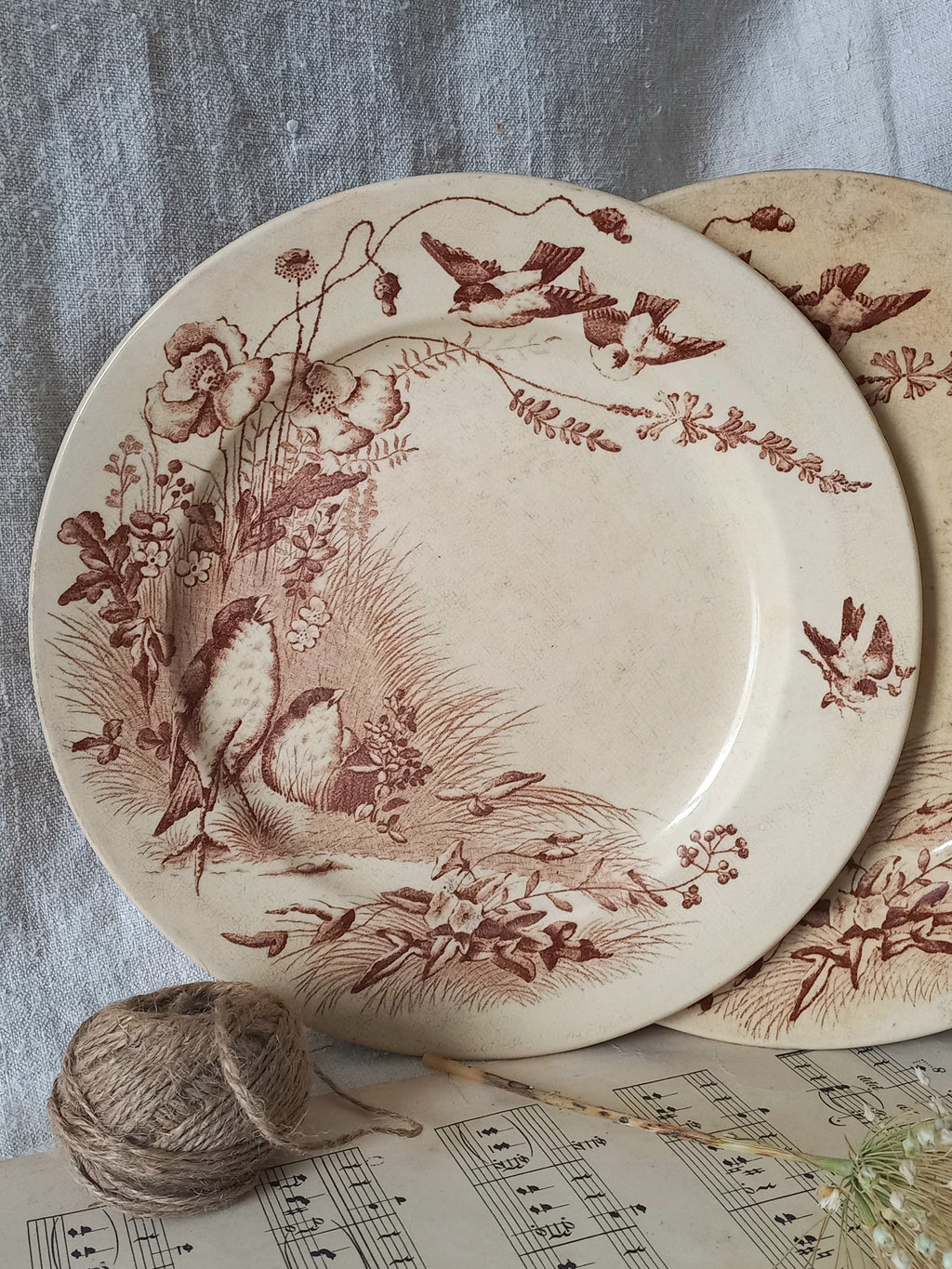 Two ceramic plates with floral and bird designs on a textured surface with music sheet paper.