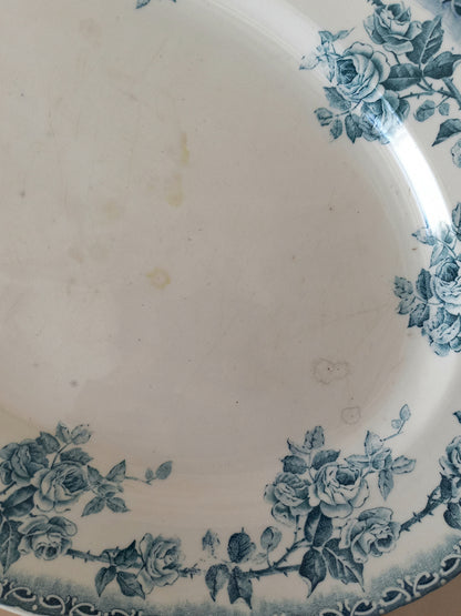 Close-up of a ceramic plate with a blue rose floral border pattern on an off-white background.