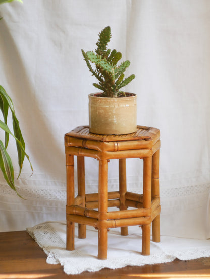 An attractive vintage bamboo pedestal which makes a wonderful plant stand. The pedestal is both solid and sturdy and can be used for many decorative purposes such as displaying plants, ornaments, dolls, etc.